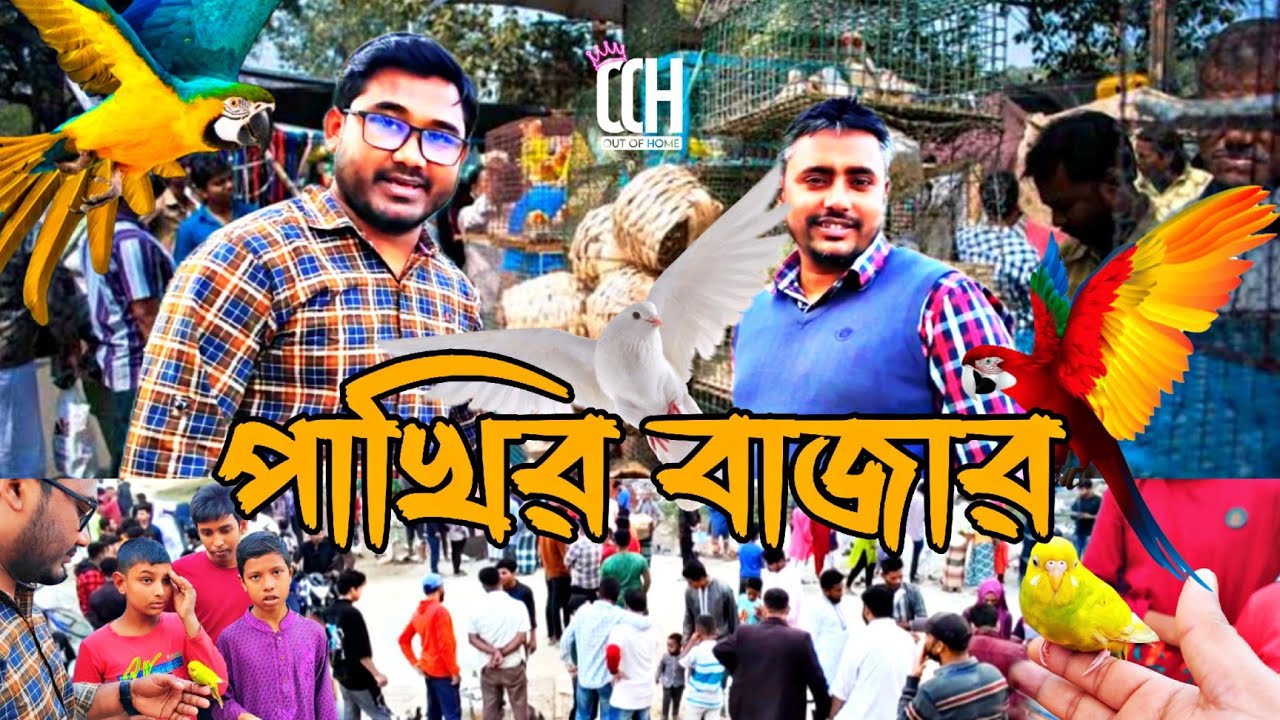 পাখির বাজার | অসাধারণ পাখি সহ অন্যান্য পশুপাখির বাজার, কোটবাড়ি রোড, দৌলতপুর, কুমিল্লা | Out Of Home