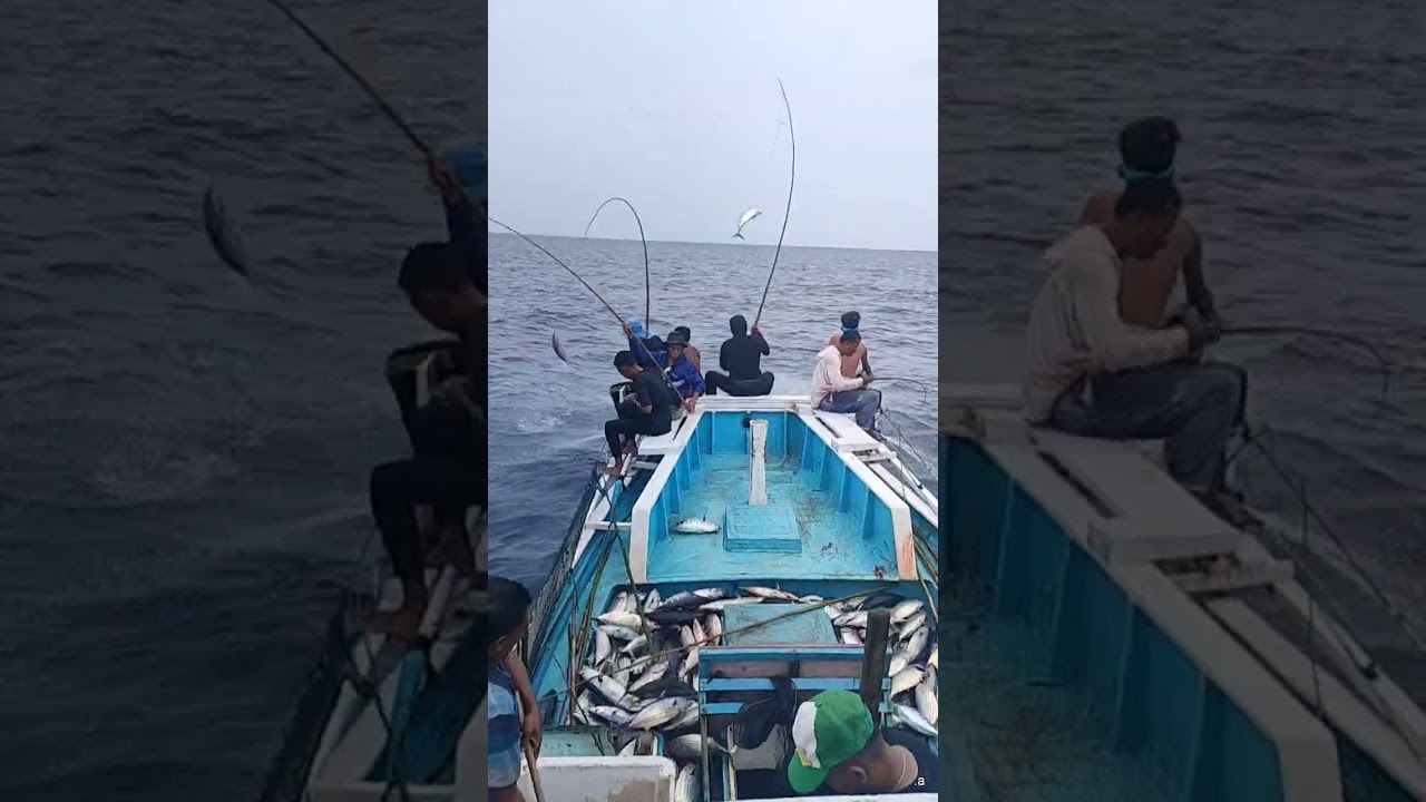 mancing cakalang, buton