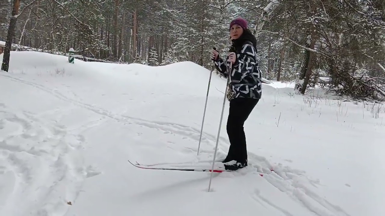 Засніжений ліс.5 лютого 2026 рік