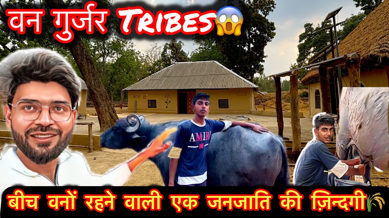 भारत की सबसें ख़ूबसूरत जनजाती और उनका जीवन । Van Gujjar Tribes #castesystem #forest #knoledge  #vlog