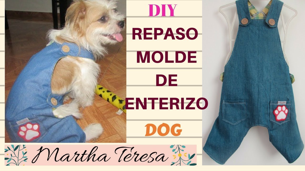 Repaso de Molde-Enterizos  Para Perritos.DIY.
