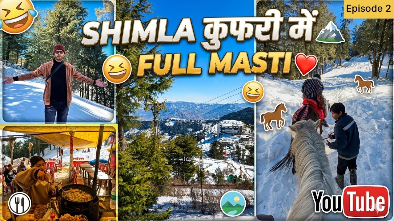 Shimla-Kufri Trip: Full Itinerary & Fun❄️#Shimla #Kufri #Travel #Shimla #KufriAdventure #Snowfall 