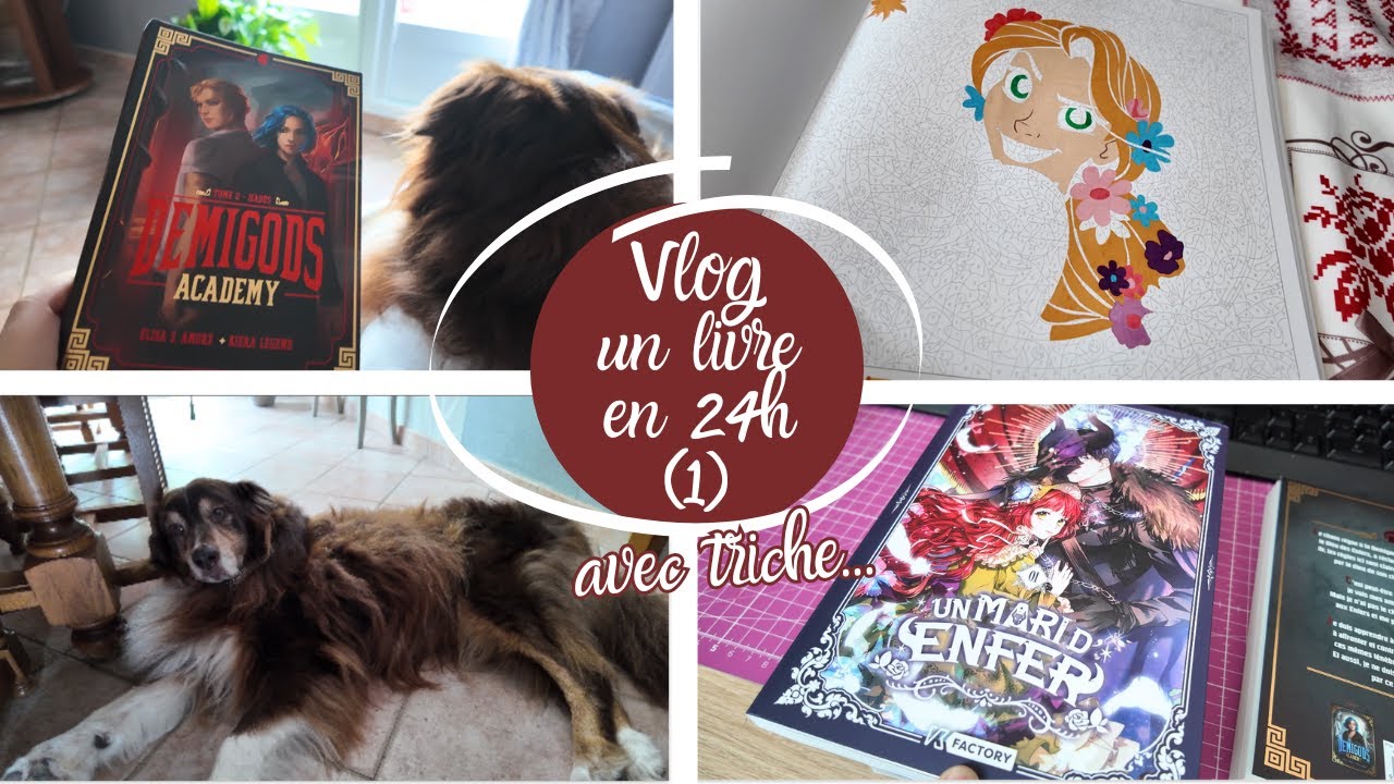✨ VLOG 1 : Un livre (ou deux) aussitôt reçus, aussitôt lus en 24h (en trichant ça passe)