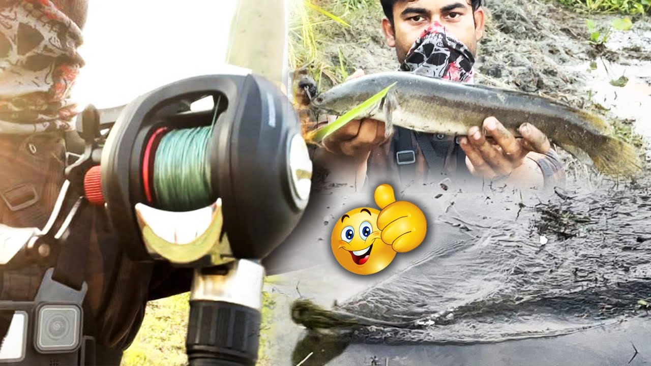 Snakehead Fishing in Hindi 7 | snakehead fishing | Snake head Fishing | Baitcasting reel review