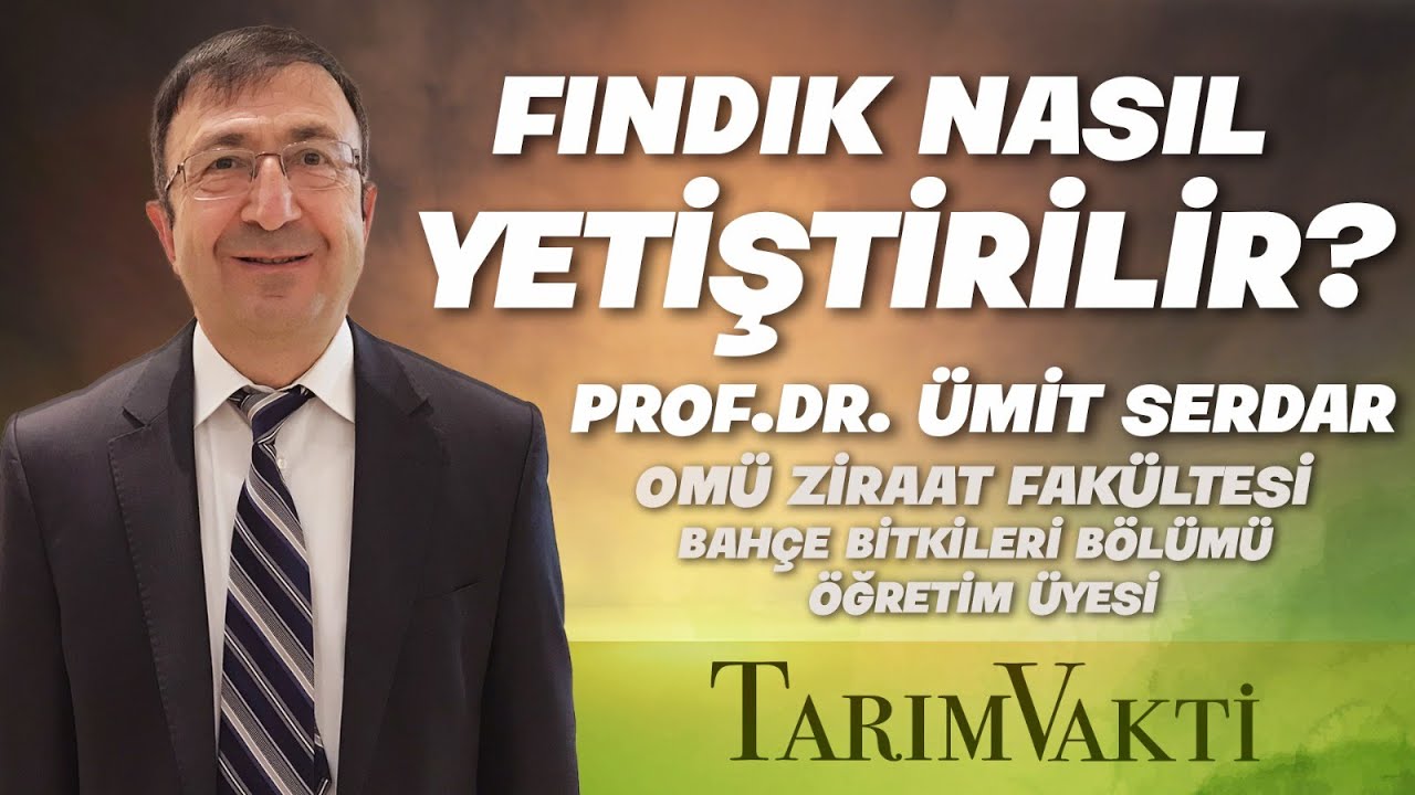 Fındık nasıl yetiştirilir?  