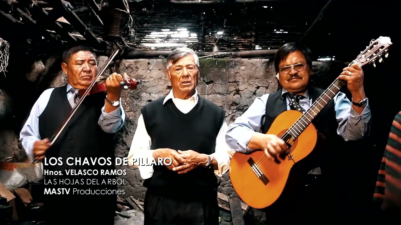 LOS CHAVOS DE PILLARO (LAS HOJAS DEL ARBOL) JUAN VELASCO RAMOS