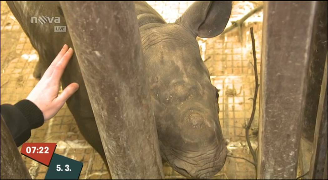Snídaně s Novou – pozvánka do Zoo Dvůr Králové
