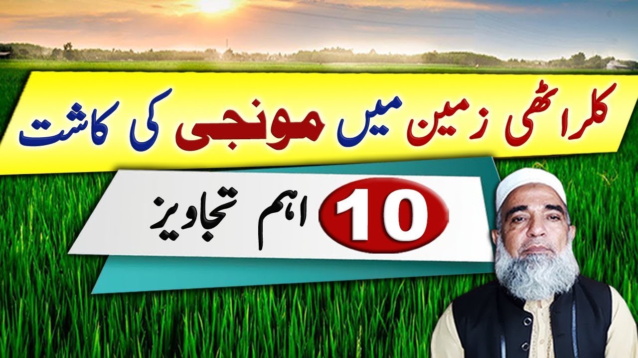 Tips for successful cultivation of Rice in salt affected soil || Crop Reformer