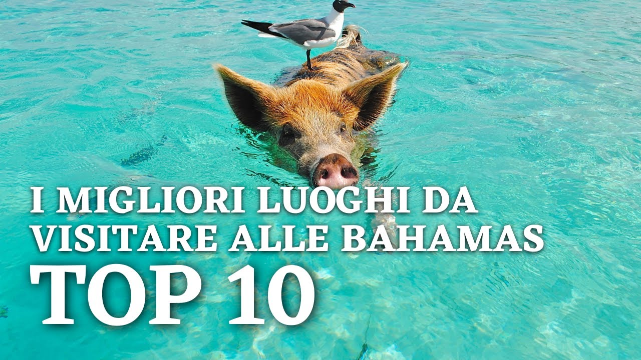 BAHAMAS I MIGLIORI 10 LUOGHI DA VISITARE - MoviMondo