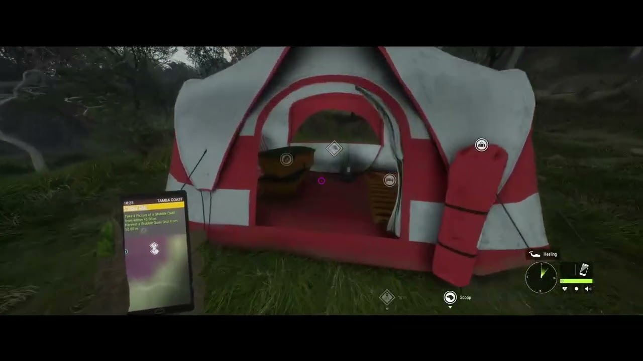 COTW E13
