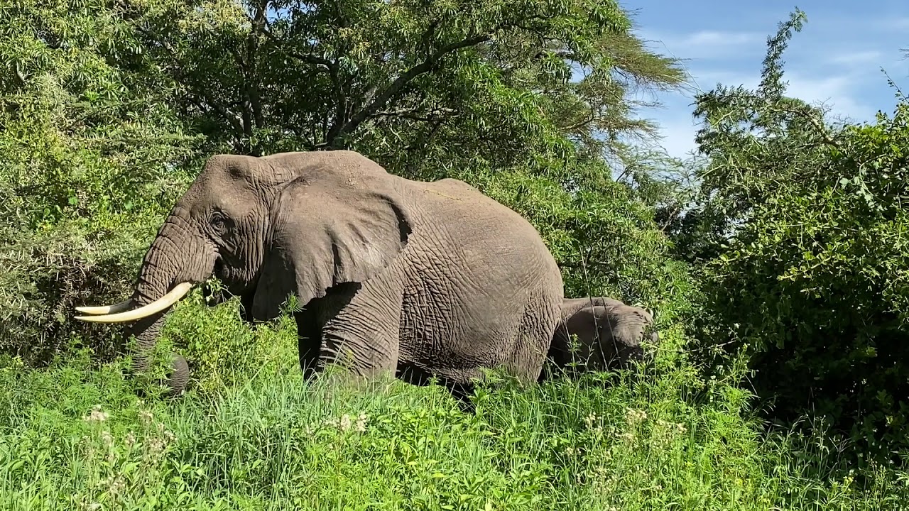 Ngorongoro-Krater