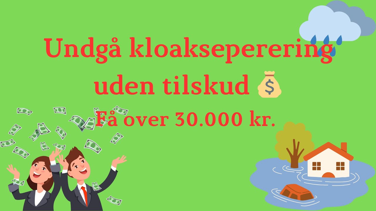 Bor du i et fælleskloakeret område? Fåover 30.000 kr.💧💰 #Fælleskloakeret #kloakseparering #Regnbed