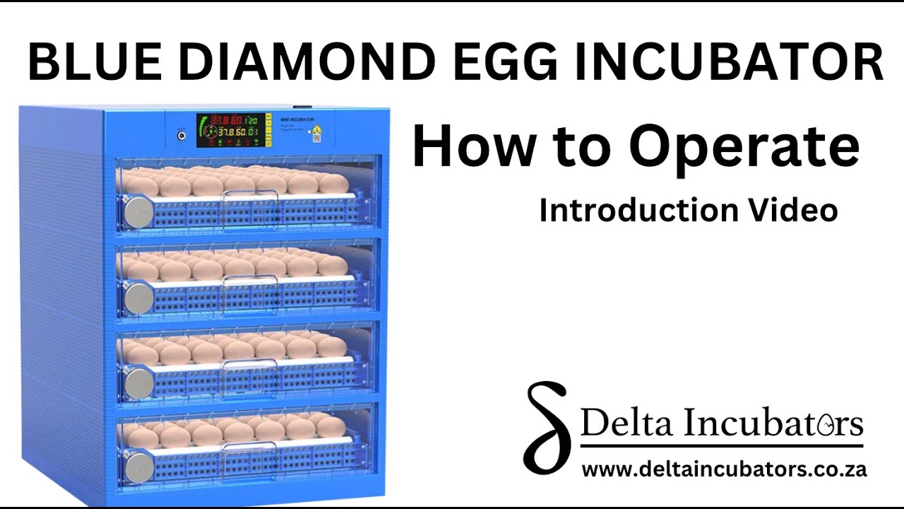 Blue Diamond Automatic Egg Incubator - Set-up and Operation video - Delta Incubators