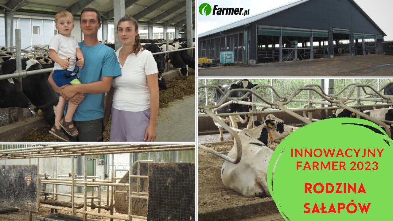 Innowacyjny Farmer 2023: Wyjątkowa obora - komfort dla krów i hodowcy | Farmer.pl