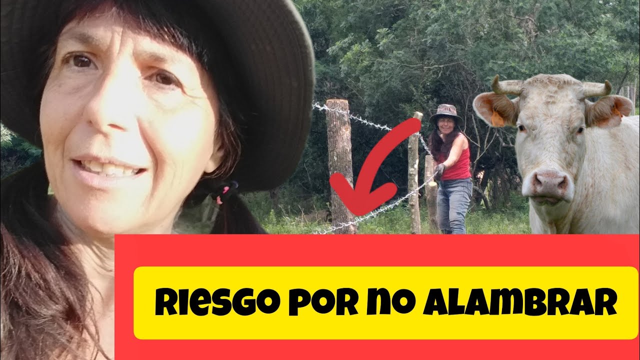 Tuvimos que ALAMBRAR  nosotros mismos URGENTE y sin tener experiencia #fueradelsistema 