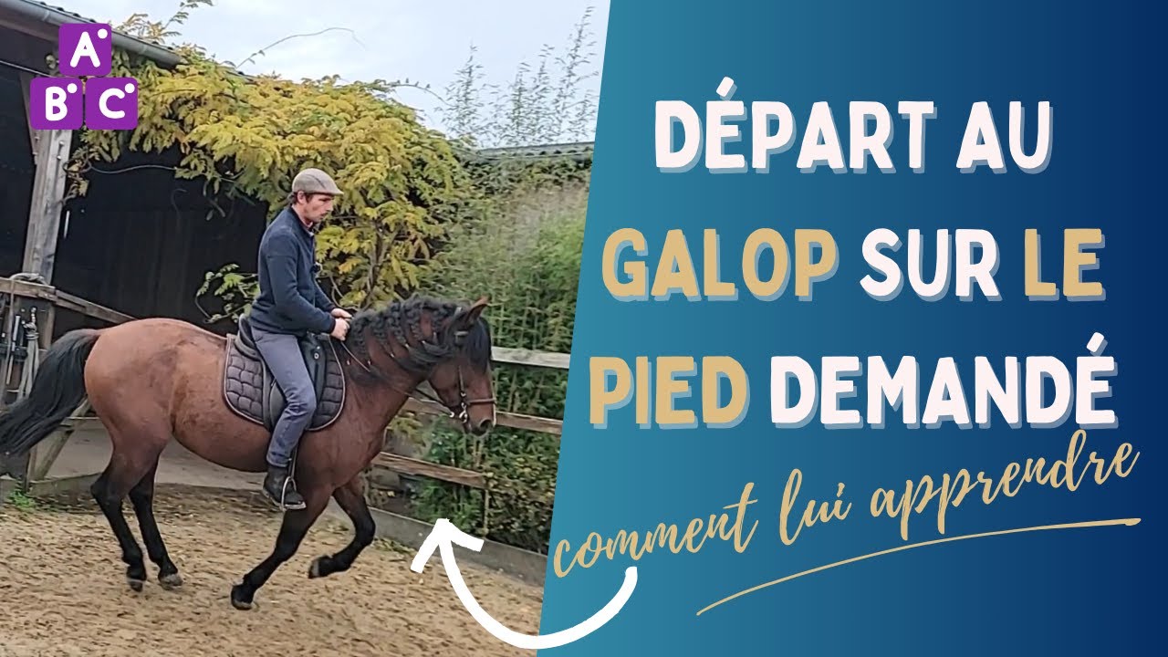 ⭐ Le départ au galop sur le bon pied avec mon cheval ⭐