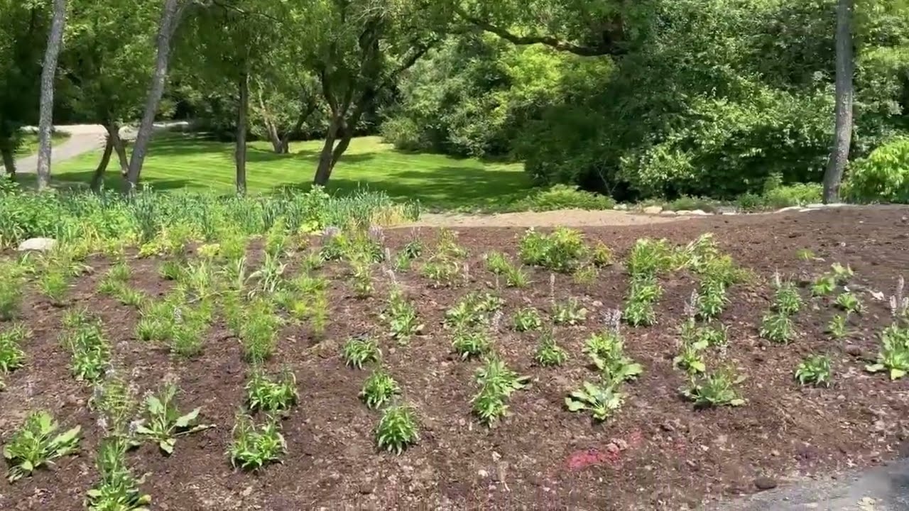 A New Planting!  Episode #229