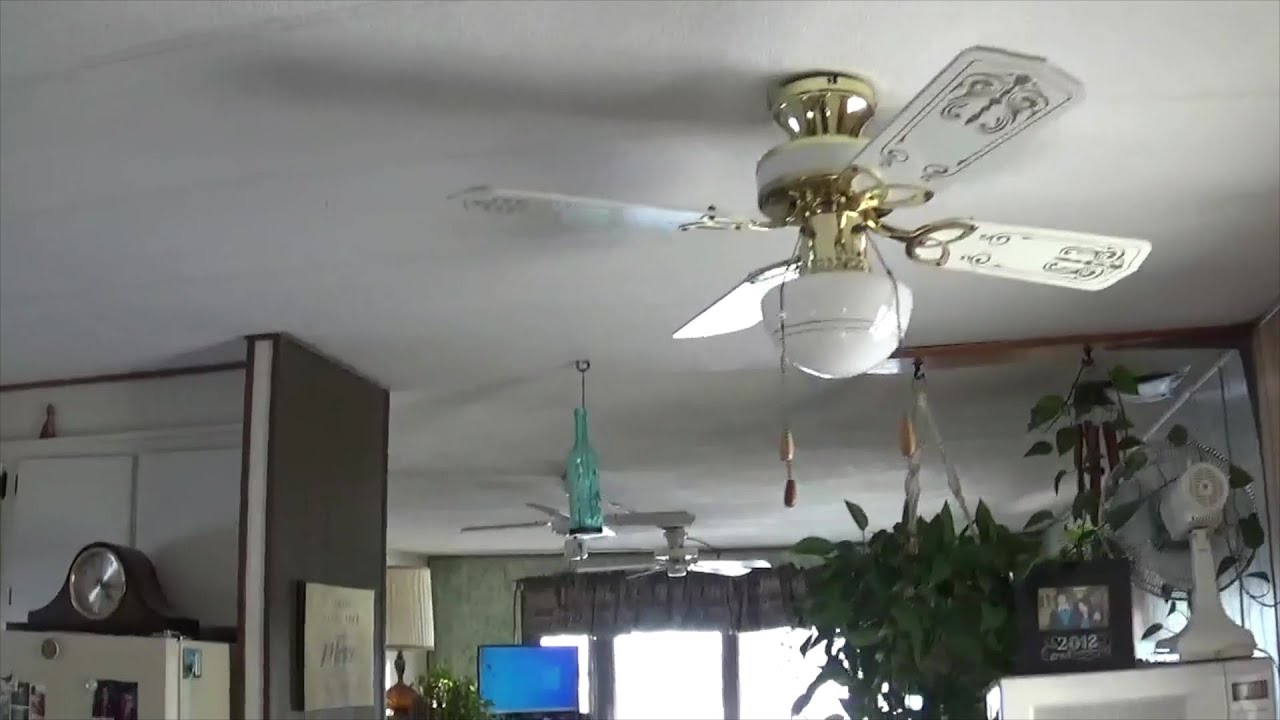 All of my house ceiling fans, on ALL speeds!