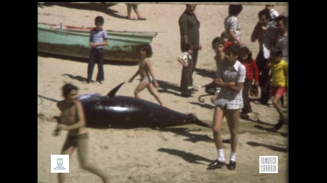 Las Teresitas, Cofradía de pescadores y Dársena pesquera. Años 70