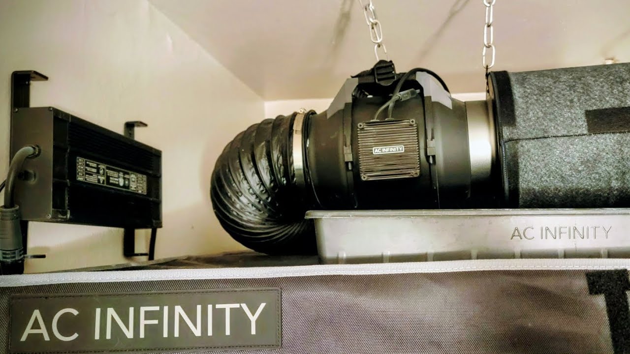 Deleted Tent Heat: External Ballast & AC Infinity Setup 🥵🔥🥵 #acifinity #growTent #growlights #led 