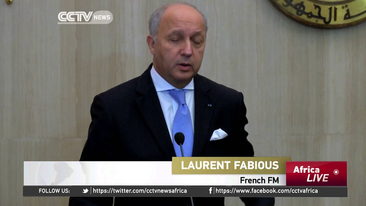 Israeli-Palestinian Peace Process: French FM in Cairo to Bring Factions Back to Dialogue