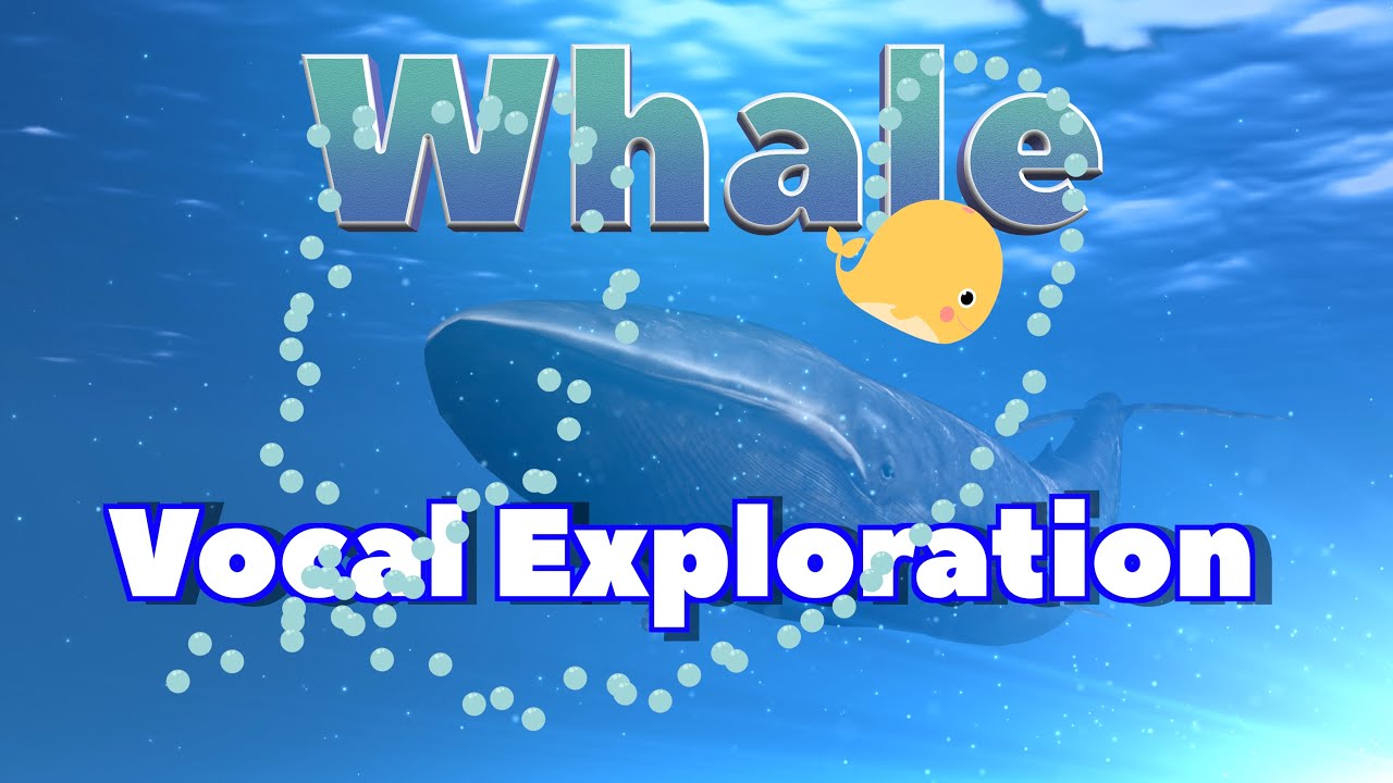 Whale Vocal Exploration
