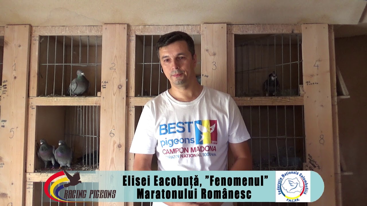 Elisei Eacobuţă, „Fenomenul“ Maratonului Naţional