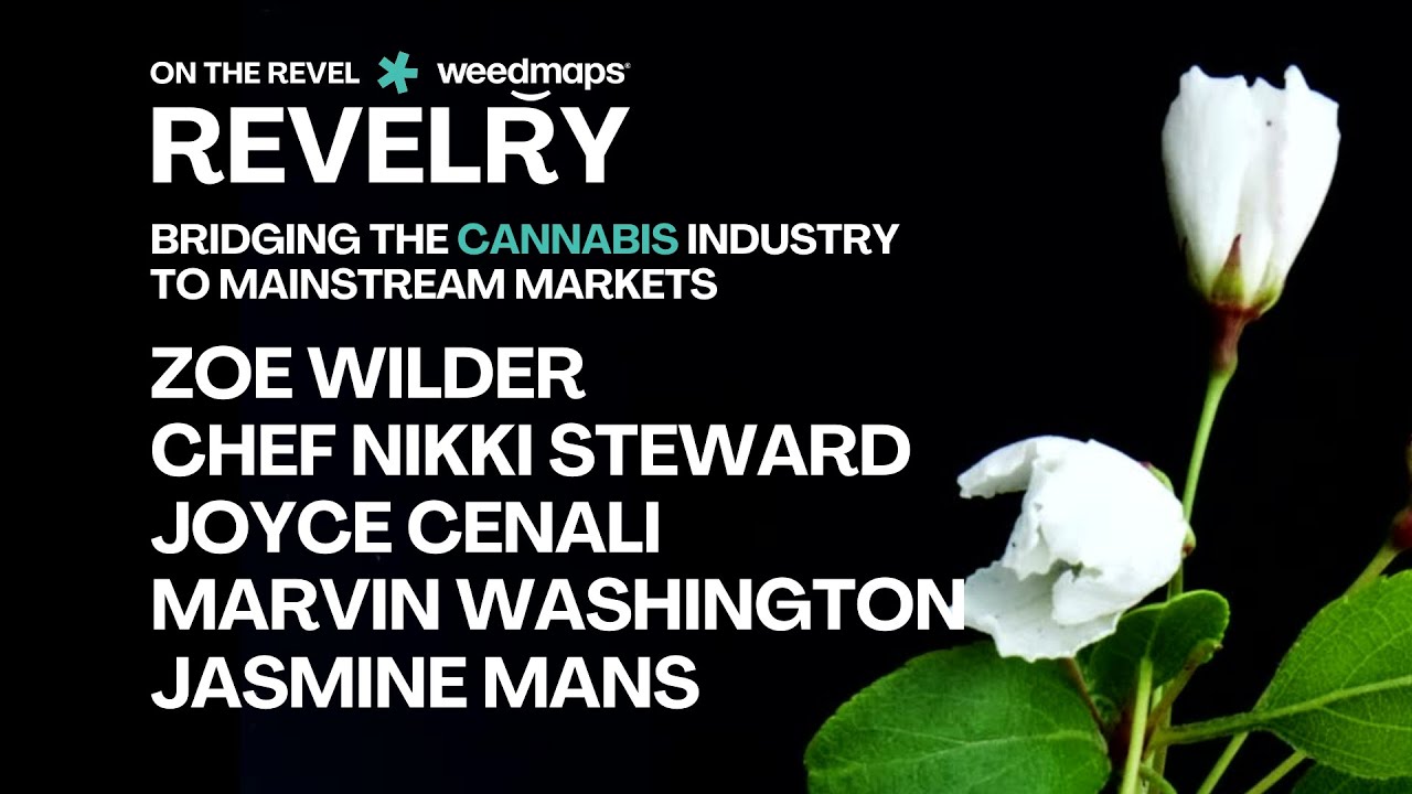 Bridging the Gap: Cultural Shifts in Cannabis Industry for Mainstream Acceptance