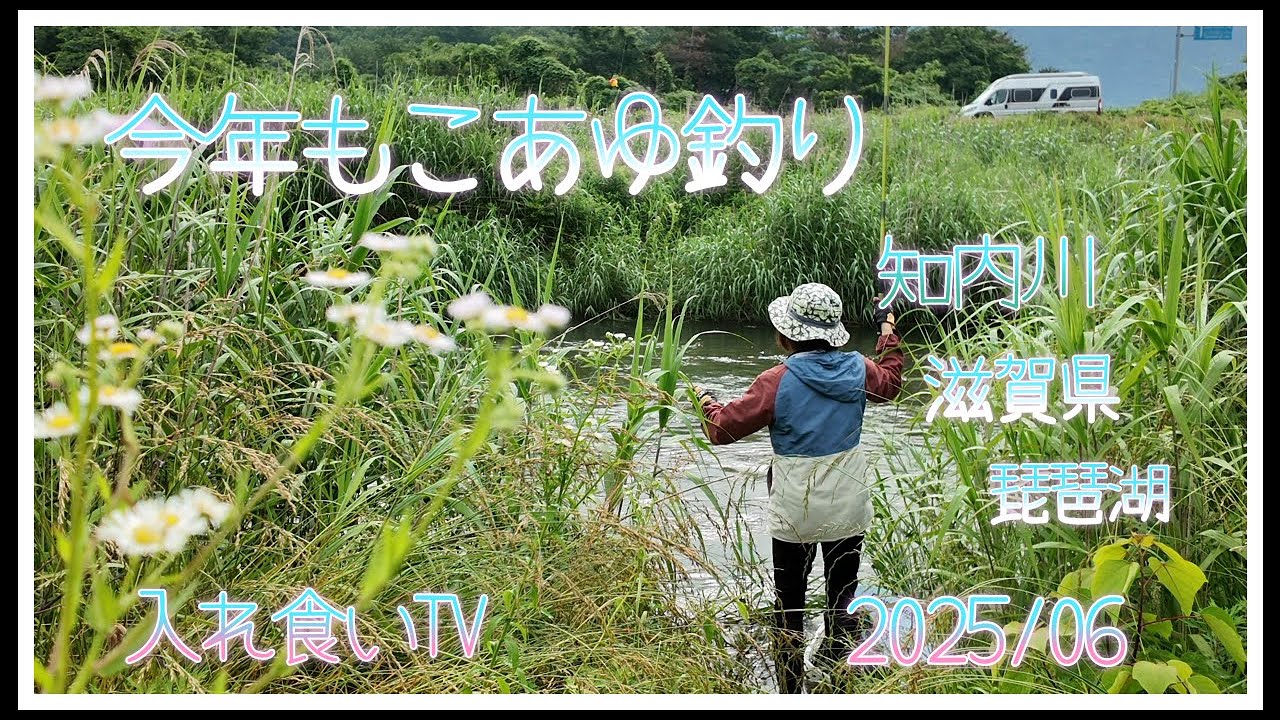 【こあゆ釣り】今年も小鮎釣り始まりました。琵琶湖へこあゆ釣り知内川へ&hellip;今年は少し厳しい予感&hellip;？入れ食いTV　BM艇　 