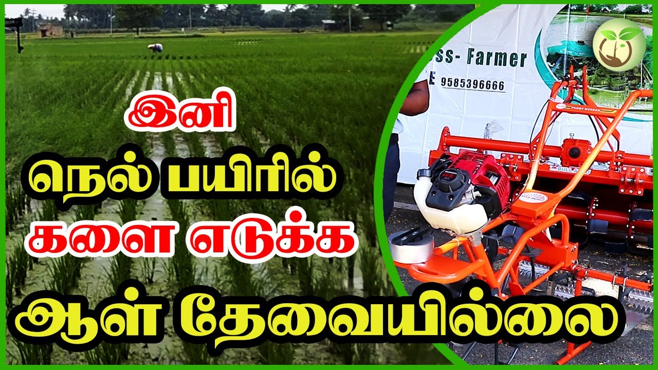 Paddy Weeder | 20 ஆயிரம் மானியம் உண்டு | நெல் பயிரில் களை எடுக்கும் இயந்திரம் | Vivasayam Vithaipom