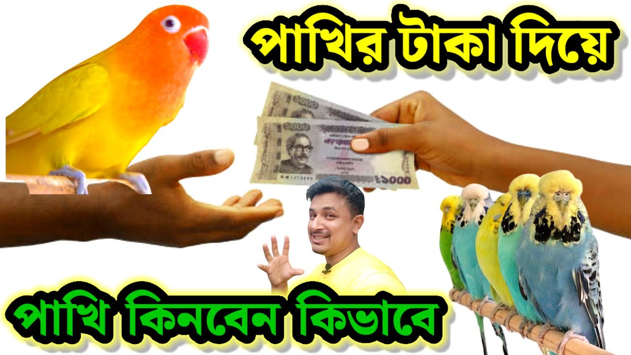 পাখি পালন পদ্ধতি || পাখির টাকা দিয়ে পাখি কিনবেন কিভাবে || pakhi palon poddhoti || birds of village