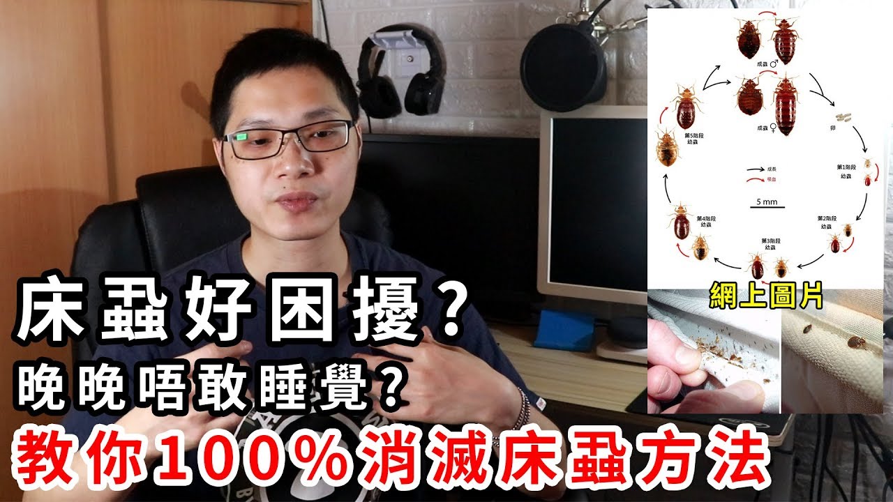【加嵐】床蝨好困擾 ? 晚晚唔敢瞓 ? 教你了解床蝨及100%消滅方法 !!