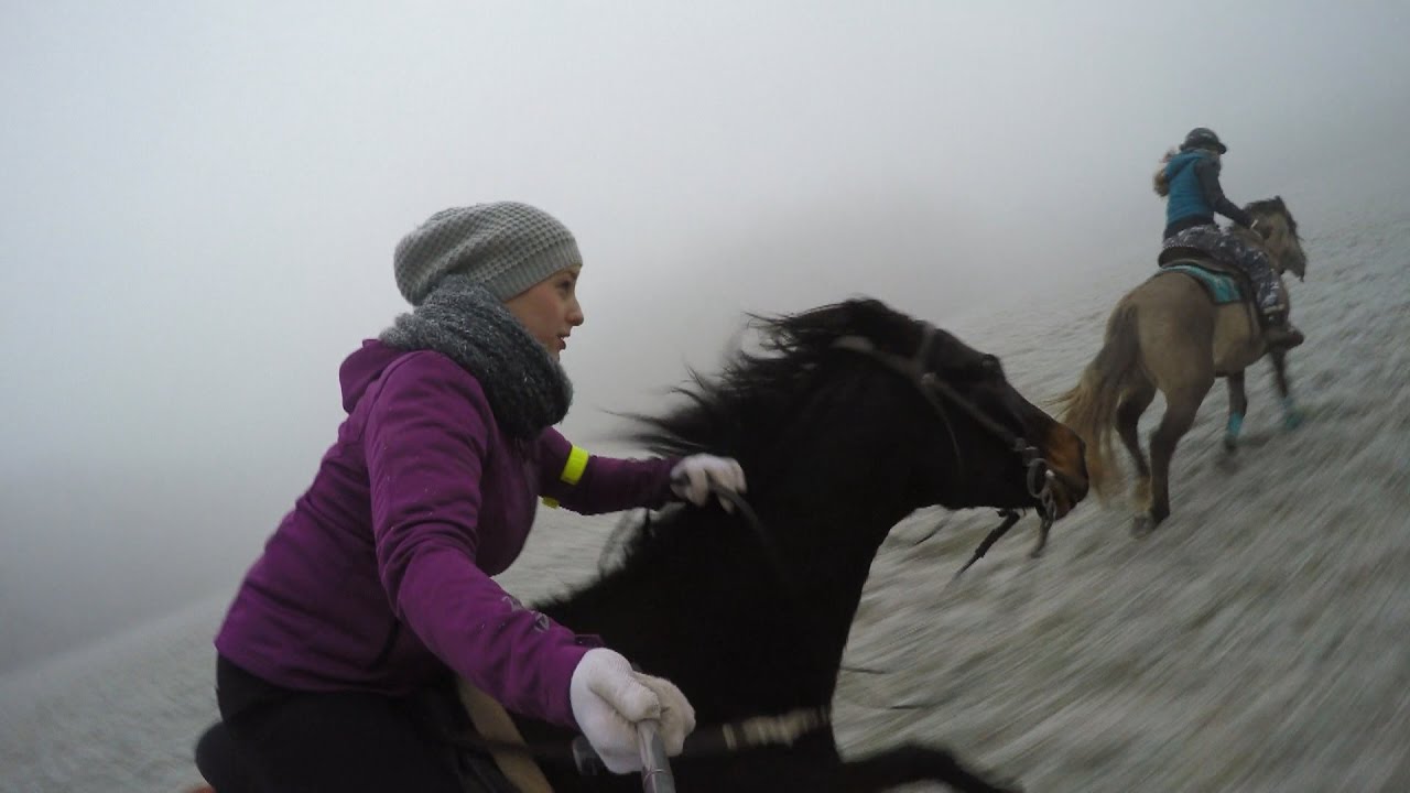 frosty horse riding ( GoPro stick )