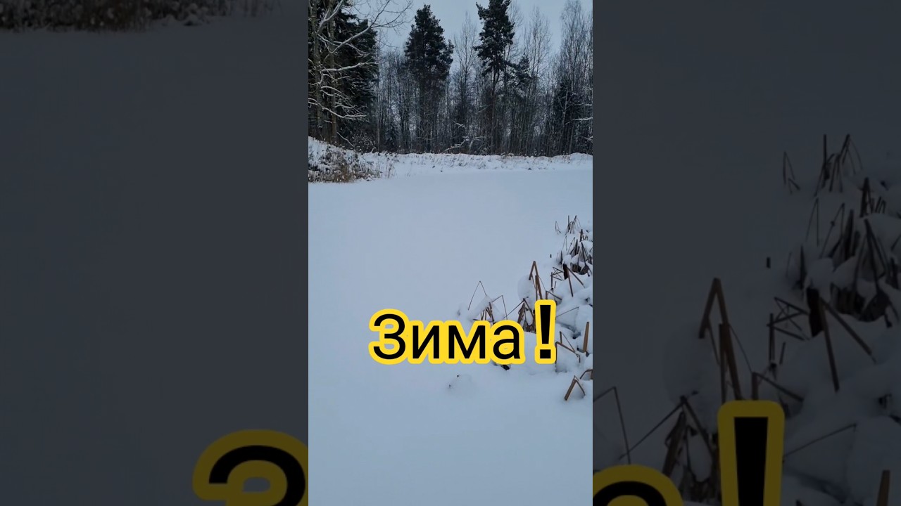 Пруд Зимой! 