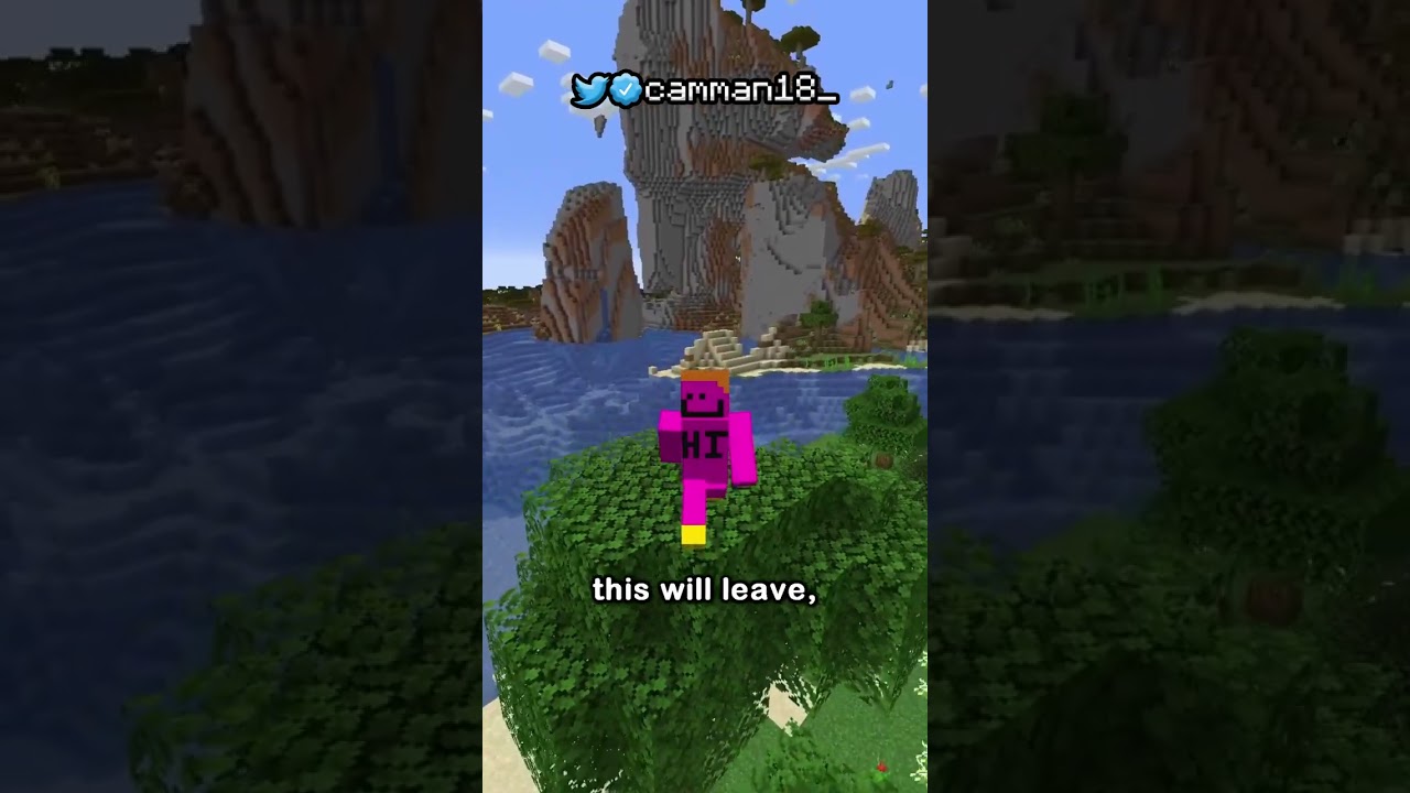 you're not using the invisibility potion right.