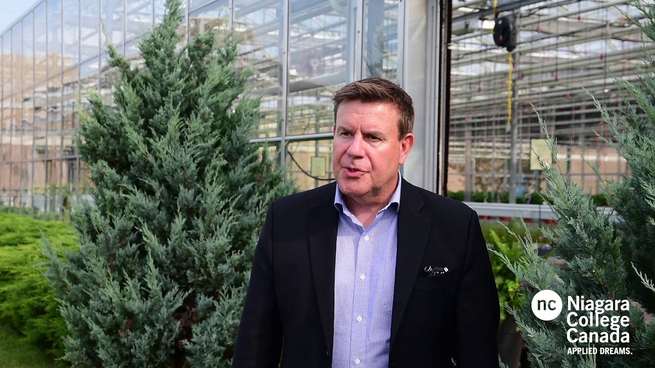 Niagara College to offer Canada&rsquo;s first postsecondary credential in Commercial Cannabis Production