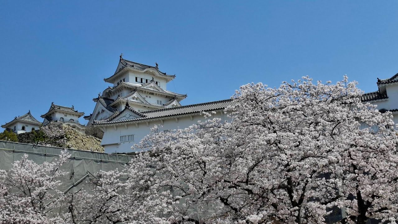 【日本 | 山陰山陽賞櫻．景點介紹 | 吉光旅遊】