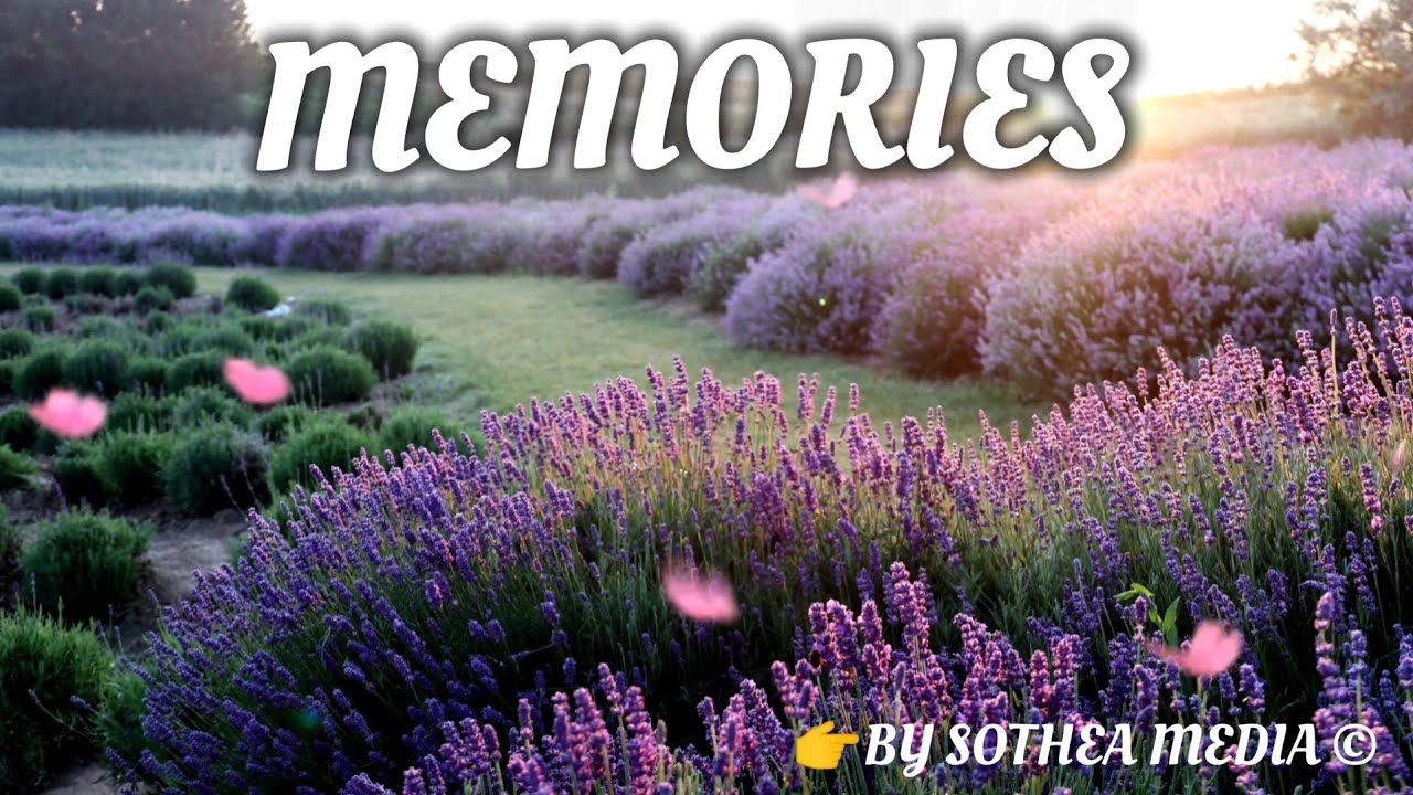 Memories - A Soulful Echo of the Past (Official Audio)