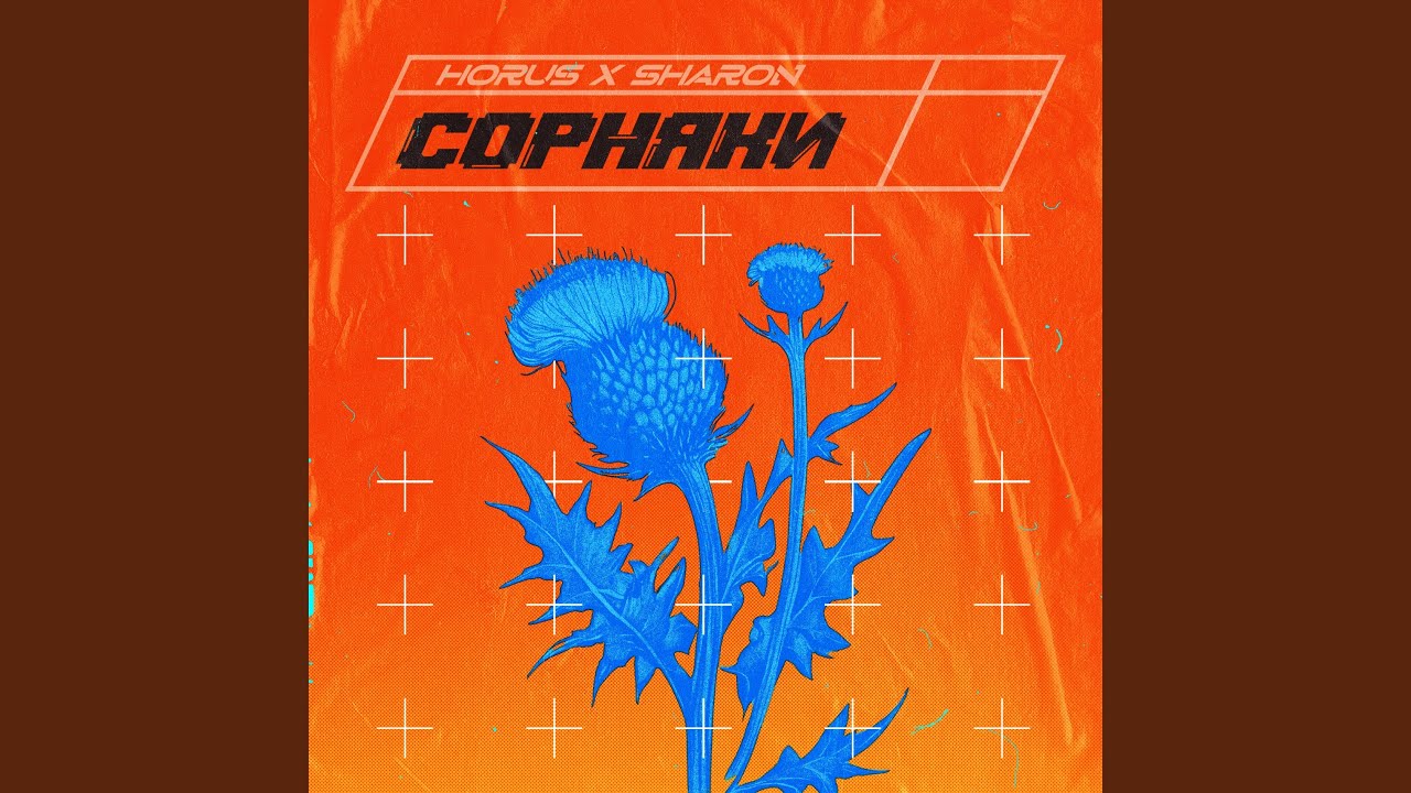 Сорняки