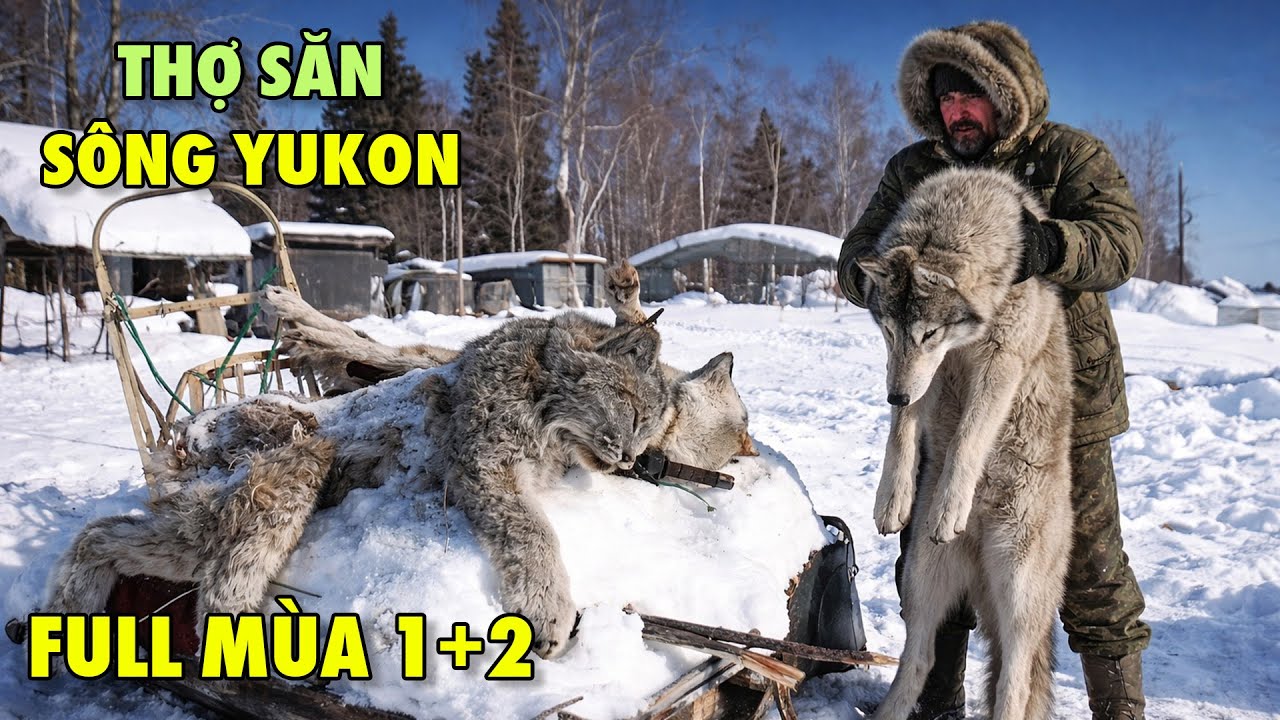 [Full Mùa 1+2] YUKON MEN:  Hành Trình Sinh Tồn Của Cư Dân Bên Rìa Sông Yukon