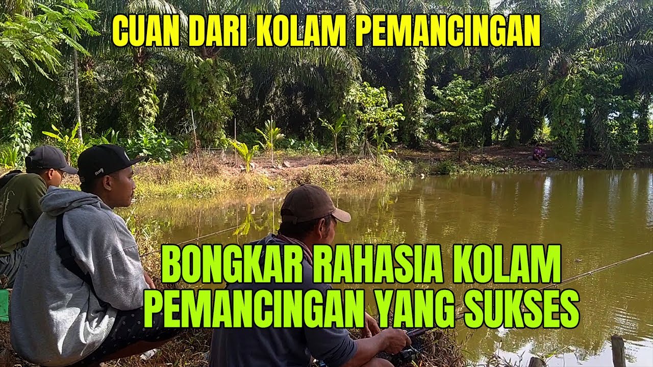 CARA AGAR USAHA PEMANCINGAN KOLAM IKAN LARIS MANIS DAN RAMAI SETIAP HARI 2023