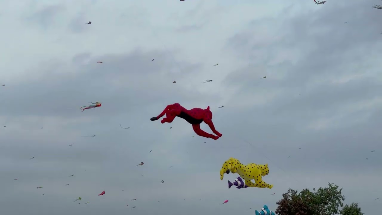Kite Festival | Ecolakes My Phuoc Park |Bến Cát | Bình Dương | Vietnam 🇻🇳 | Mac 160