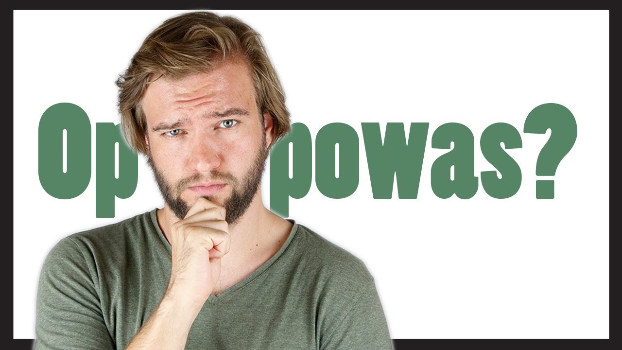Was macht eigentlich die Opposition?