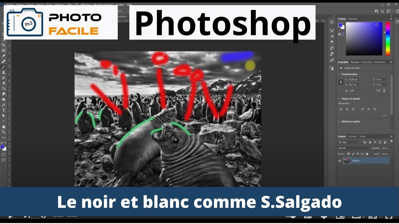 Le noir et blanc comme S.Salgado