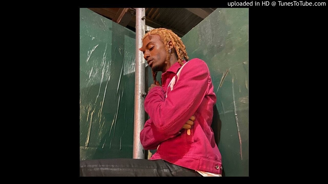 (FREE) Whole Lotta Red Playboi Carti Type Beat - Anarchy (Prod. aaronbasquiat)