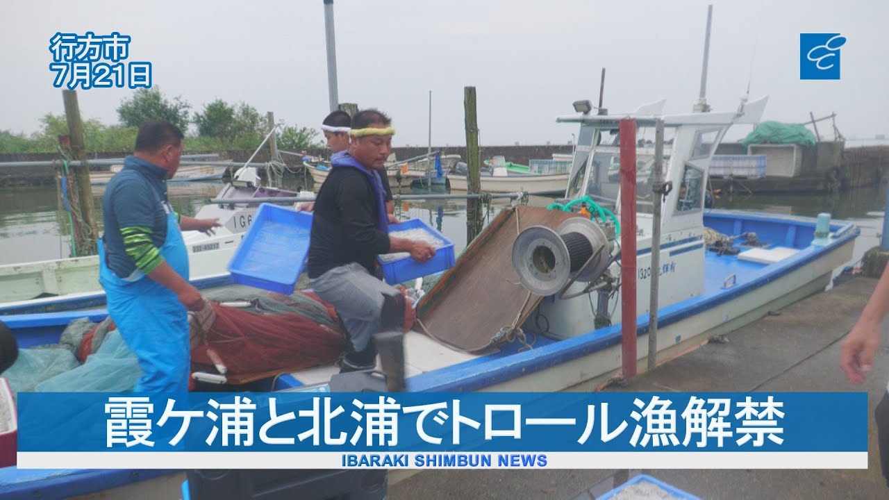 トロール漁解禁　「霞ケ浦のダイヤモンド」シラウオ水揚げ