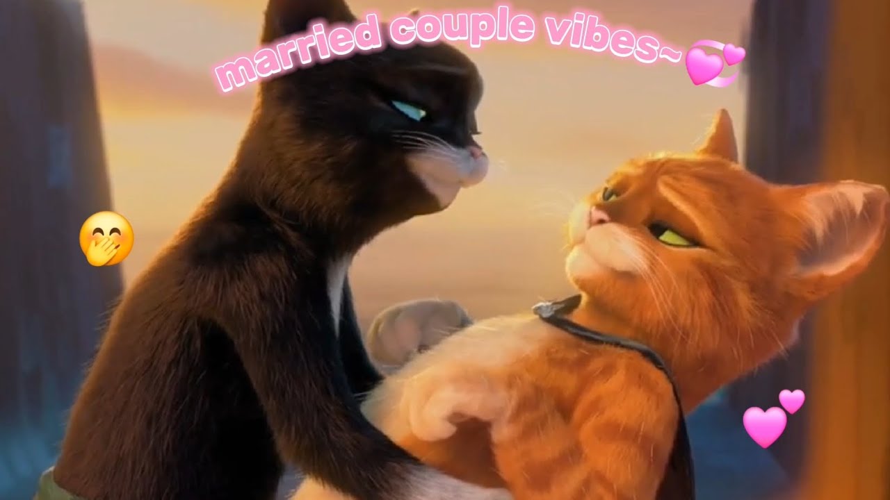 Puss and Kitty acting like a chaotic married couple for 5 minutes and 30 seconds straight💕