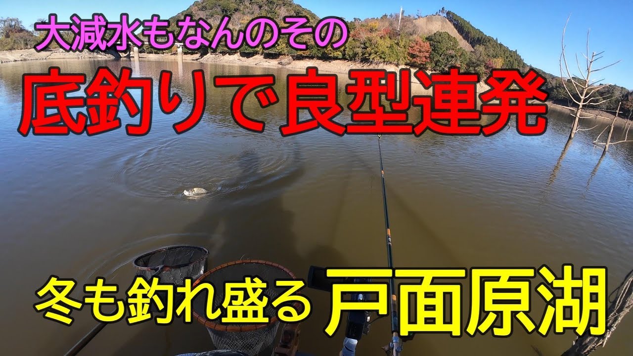 戸面原湖・本湖立木　へら鮒釣り　2025年12月