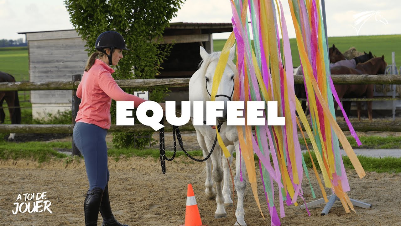 À toi de jouer : Equifeel