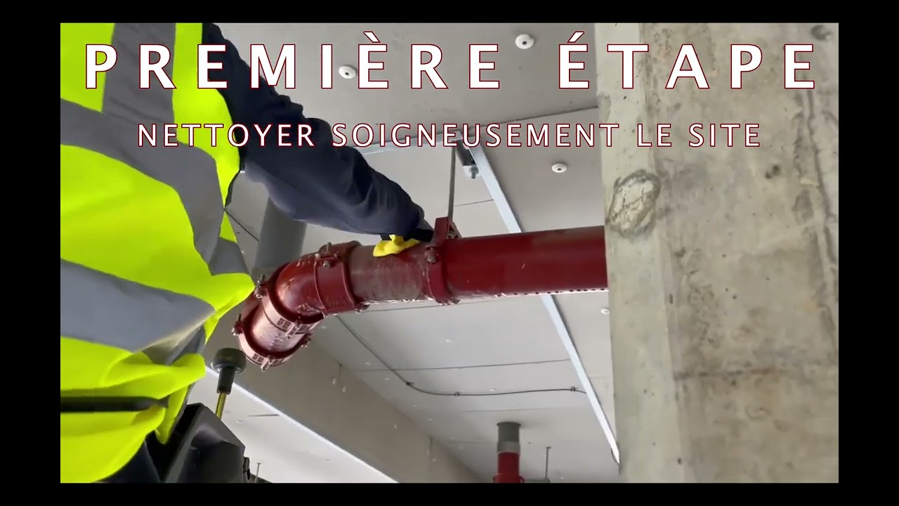 Comment se débarrasser des pigeons